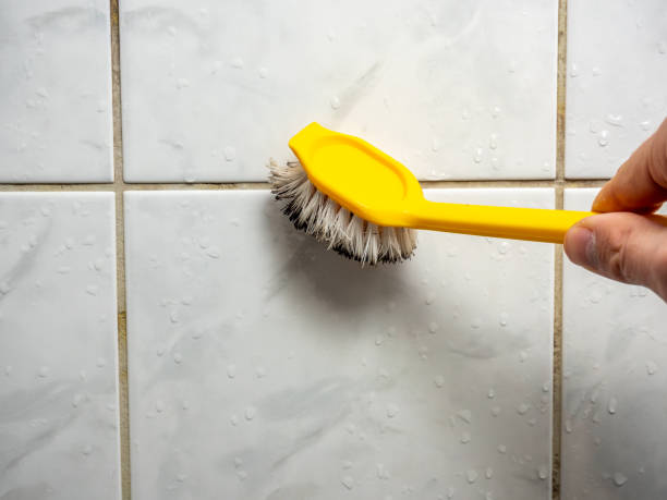 Best Mold Removal Near Me  in Avon, OH