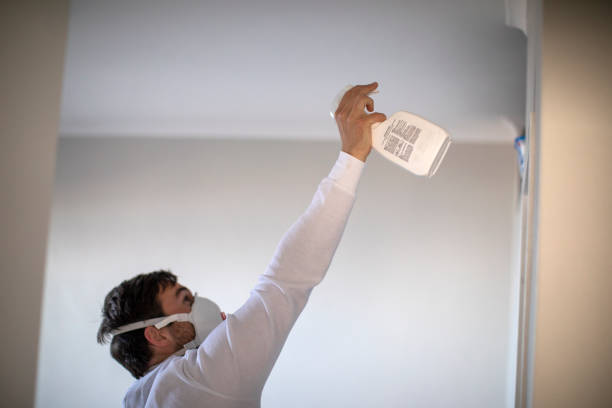 Best Home Mold Removal  in Avon, OH