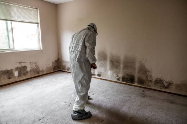 Best Commercial Mold Removal  in Avon, OH