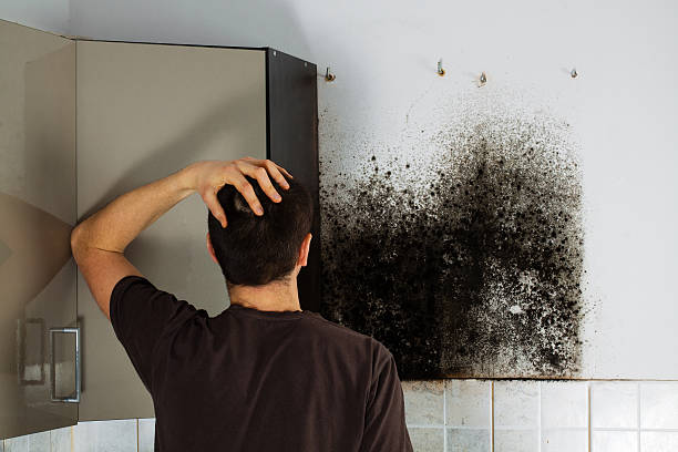 Best Crawl Space Mold Removal  in Avon, OH